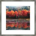 October Trees - Autumn Framed Print