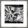 Octopus Black White Framed Print