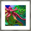 Octopus Love Framed Print