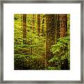 Of Elves And Faeries Framed Print