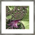 Oh Clematis Framed Print