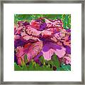 Oh My Mushrooms Framed Print