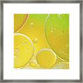 Oil And Water Bubbles Framed Print