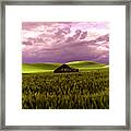 Old Barn In A Pa-louse Wheat Field Framed Print