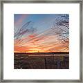 Old Bog Sunset Framed Print