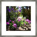 Old Folks Home Framed Print