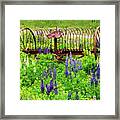 Old Hay Rake And Lupines Framed Print