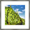 Old Trolly Tracks Framed Print