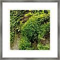 Old Walls Rising From The Water Edge. Framed Print