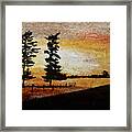 Old Windbreak Framed Print