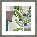 Olive Branch 2- Art By Linda Woods Framed Print