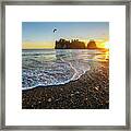Olympic Peninsula Sunset Framed Print