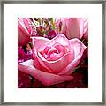 Ombre Pink Rose Bouquet Framed Print