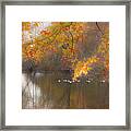 On Golden Pond Framed Print