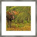 On The Prowl Abstract Framed Print