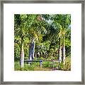 On The Trail Framed Print