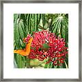 On The Wings Of Butterflies Framed Print