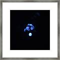 Once In A Blue Moon Framed Print