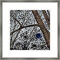 Once In A Blue Moon Framed Print