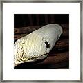 One Happy Clam Framed Print