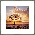 One Is A Lonely Number Framed Print