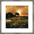 One Morning In Clare Framed Print