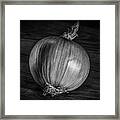 Onion Framed Print