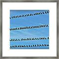 Online Birding Framed Print