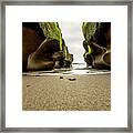 Only At Low Tide Framed Print