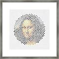 Optical Illusions - Famous Work Of Art 1 Framed Print