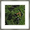 Orange Accents Of The Forest Framed Print