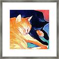 Orange And Black Tabby Cats Sleeping Framed Print