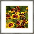 Orange And Red Flowers Framed Print