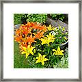 Orange And Yellow Lilies Framed Print