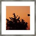 Orange Dawn With Windmill Framed Print