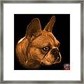 Orange French Bulldog Pop Art - 0755 Bb Framed Print