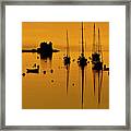 Orange In The House Framed Print