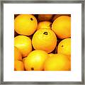 Orange Framed Print