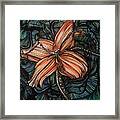 Orange Lily Framed Print
