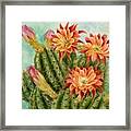 Orange Pin Cushion Framed Print