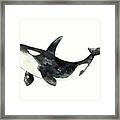 Orca from Arctic and Antarctic Chart Framed Print