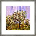 Orchard Framed Print