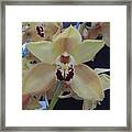 Orchid Impression Framed Print