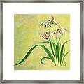 Orchid Framed Print