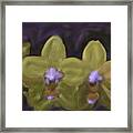 Orchids Golden Framed Print