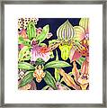 Orchids Framed Print