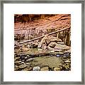 Orderville Canyon Zion National Park Framed Print