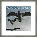 Oregon Coast 3 Seagulls Framed Print