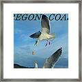 Oregon Coast Amazing Seagulls Framed Print