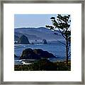Oregon Coast Framed Print